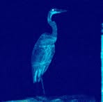 Profile Picture of Andrew Diener (@Andrew-Diener) on Facebook