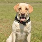 Profile Picture of Jerry Swaim (@jerry.swaim.94) on Instagram