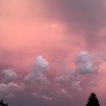 Profile Picture of Frances Wilkins (@frances.wilkins) on Instagram