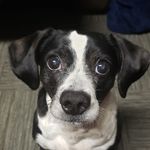 Profile Picture of Joe Majewski (@joe.majewski91) on Instagram