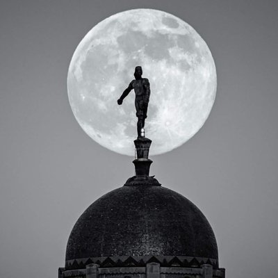 Profile Picture of Brad Thorman (@brad_thorman) on Twitter