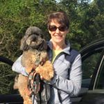 Profile Picture of Fiona O'Sullivan (@fiona.osullivan) on Instagram