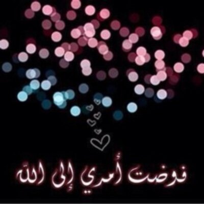 Profile Picture of ملكة الورود (@JedCarroll1) on Twitter