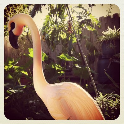 Profile Picture of Matthew Sowder (@MatthewSowder) on Twitter