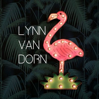 Profile Picture of Lynn Van Dorn (@lynnvandorn) on Twitter