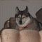 Profile Picture of John Hotopp (@john.hotopp.5) on Facebook