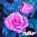 Profile Picture of Gail England (@gail.england.794) on Facebook