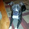 Profile Picture of Howard Pierson (@howiemaui9) on Pinterest