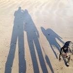 Profile Picture of Andy Dunbar (@adwestfan) on Instagram