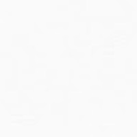 Profile Picture of Joseph Marcus Corona (@joseph-marcus-corona) on Quora