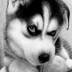 Profile Picture of Joyride 68 (@joyhay68) on Twitter