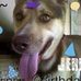 Profile Picture of Jerry Ferman (@jerry.ferman.7) on Facebook