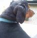 Profile Picture of Maria Rita Bortolozzo (@mariarita.bortolozzo.3) on Facebook