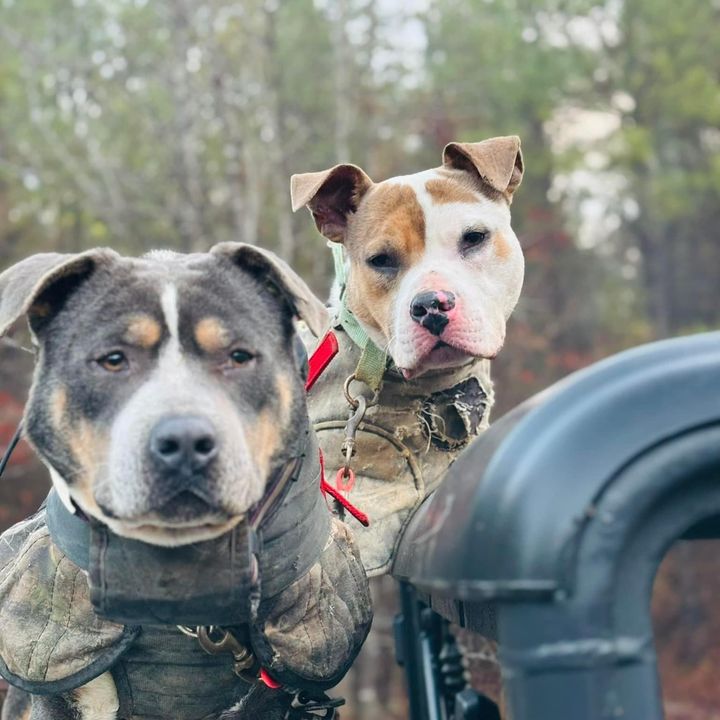 Profile Picture of Travis  Carter (@traviscarter48) on Tiktok