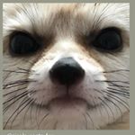 Profile Picture of Matthew luis (@k.s.matthew) on Instagram