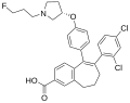 Profile Picture of Amcenestranton Wikipedia