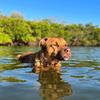 Profile Picture of Benny.Baldwin (@benny.baldwin) on Tiktok