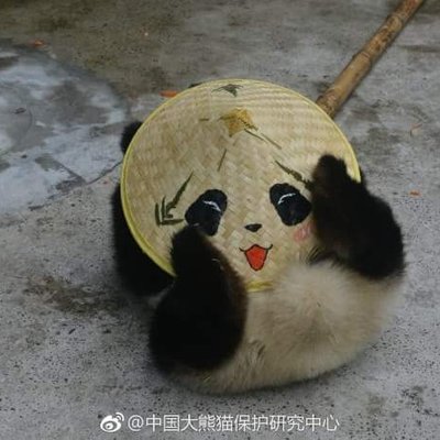 Profile Picture of Mike Kilo (@MaungMyaKhine) on Twitter