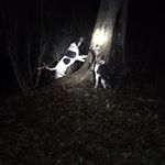 Profile Picture of Tyler Weber (@tylerweber5555) on Instagram