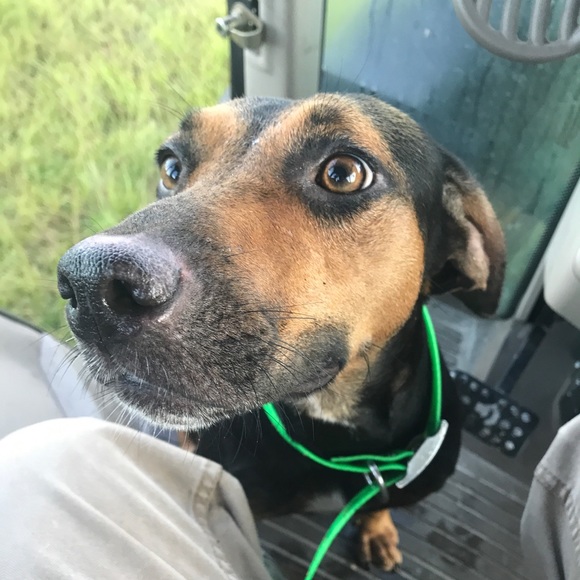 Profile Picture of Tyler Nugent (@tnuge794) on Poshmark