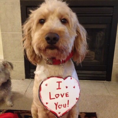 Profile Picture of Bobbie (@LaceyRenolds) on Twitter