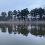 David Statum - Facebook Profile Picture of David Statum (@dmstatum) on Facebook