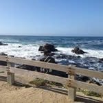 Profile Picture of Carol Evanoff (@carolevanoff) on Instagram