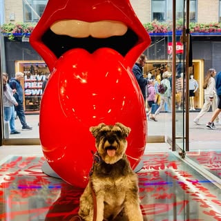 Profile Picture of Ralph Rhubarb (@ralphstorm_) on Instagram