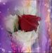 Profile Picture of Jean Clack (@jean.clack.18) on Facebook