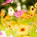 Profile Picture of Pamela Stevens (@pamela.stevens.505) on Facebook