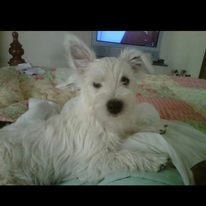 Profile Picture of Janet Eason (@tessmom712) on Tiktok