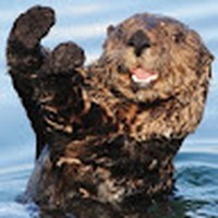 Profile Picture of Ashley Van Fossen (@ashley-van-fossen-2) on Quora