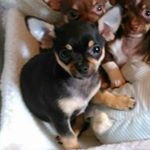 Barry Wallis-ginn - Instagram Profile Picture of Barry Wallis-ginn (@barrywallisginn) on Instagram