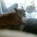 Profile Picture of Sheryl Schneider (@sheryl.schneider.900) on Facebook