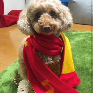 Profile Picture of miho.kiriyama (@miho_kiriyama) on Instagram
