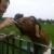 Profile Picture of Andre Mc Pherson (@252956268) on Myspace