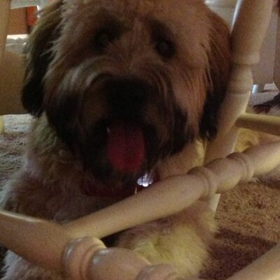 Profile Picture of Gianna Salvato (@grose0912) on Twitter