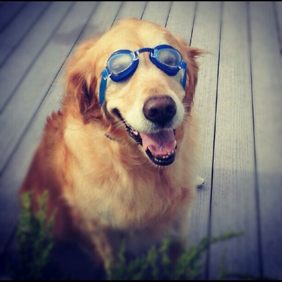 Profile Picture of Patti Vertullo (@pvertullo) on Poshmark