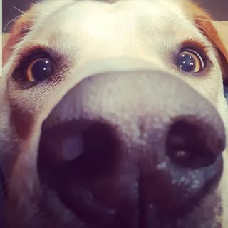 Profile Picture of Austin Reddick (@reddick_austin) on Instagram