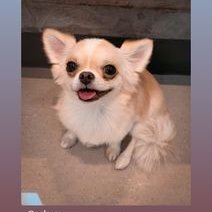 Profile Picture of Eddy Davidson (@EddyDavidson7) on Twitter