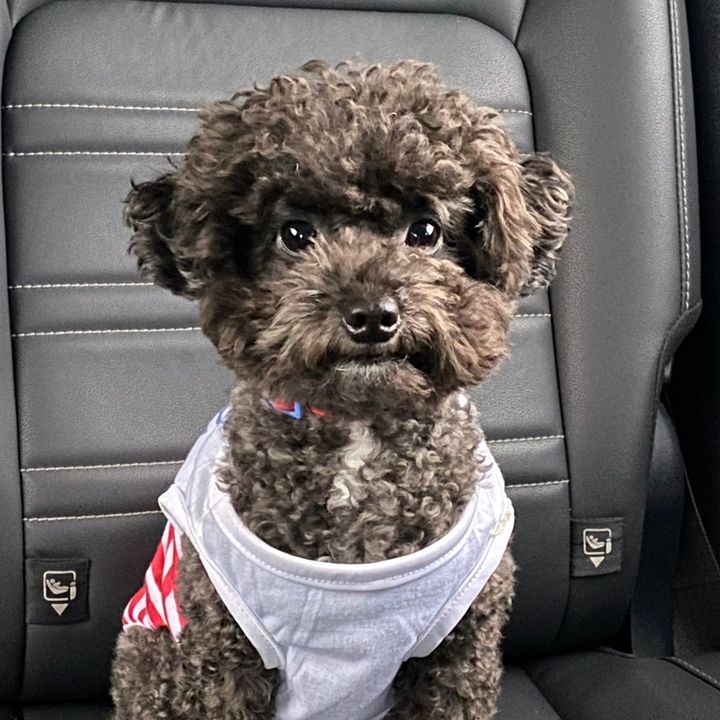 Profile Picture of Ken Tsai (@kentsai5585) on Tiktok