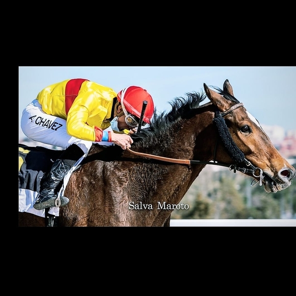 Profile Picture of Chavez Andrés (@andres09272028) on Poshmark