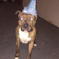 Profile Picture of Paul Visconti (@paul-visconti-3) on Quora