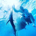 Profile Picture of Steve Kester (@skester87) on Instagram