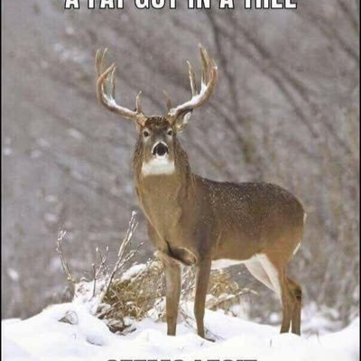 Collin Keith - Twitter Profile Picture of Collin Keith (@CollinKeith7) on Twitter