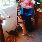 Profile Picture of Odion Izegwire Edu (@odion_izegwire) on Instagram