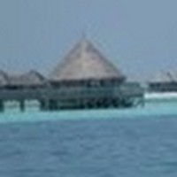 Profile Picture of Andrew Castellon (@andrew-castellon-1) on Quora