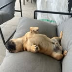 Profile Picture of Michael Lucas (@Michael-Lucas) on Facebook