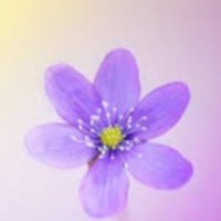 Profile Picture of Hope Montoya (@hope-montoya) on Quora