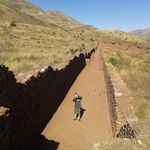 Profile Picture of Nico Suárez (@nicolas_suarez_araoz) on Instagram